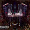 ZayUSA - BruceWayne - Single